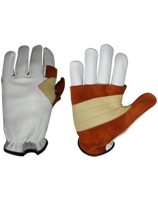 Climbing Gloves