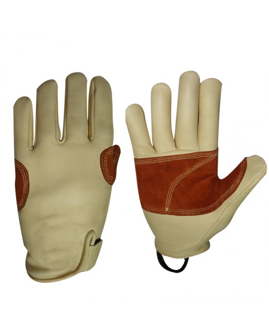 Climbing Gloves