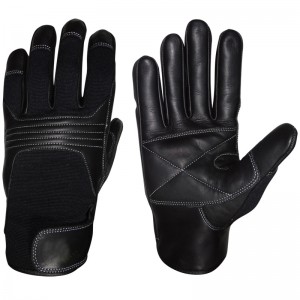 Climbing Gloves