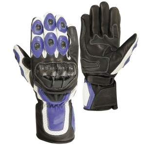 Motorbike Gloves