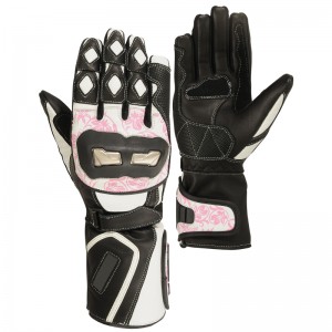 Motorbike Gloves