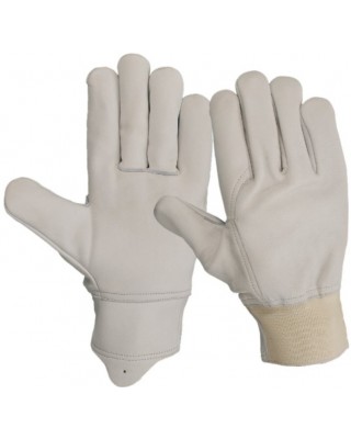 Driver Gloves