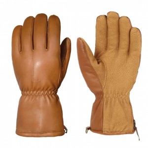 Winter Gloves